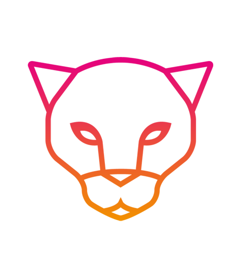 The Shuri Network